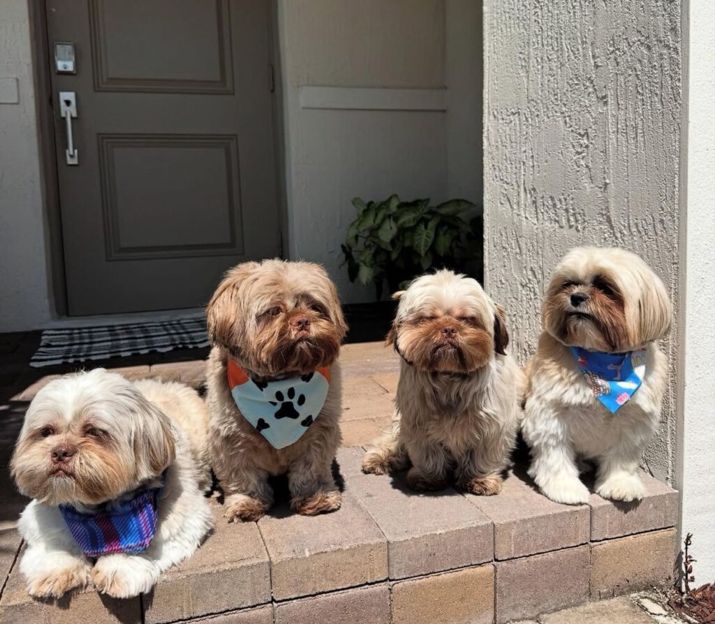 whatsapp image 2025 08 17 at 15.02.20